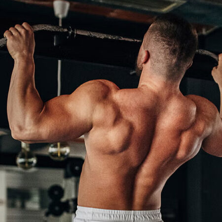 MUNDO HOCH MUSCULACION
