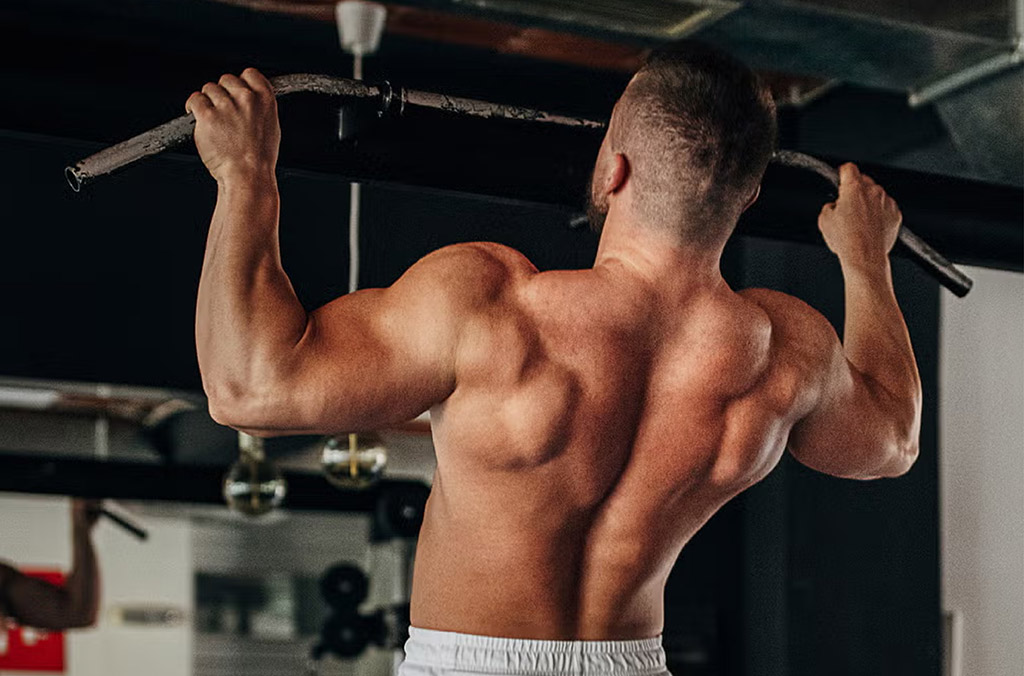 MUNDO HOCH MUSCULACION